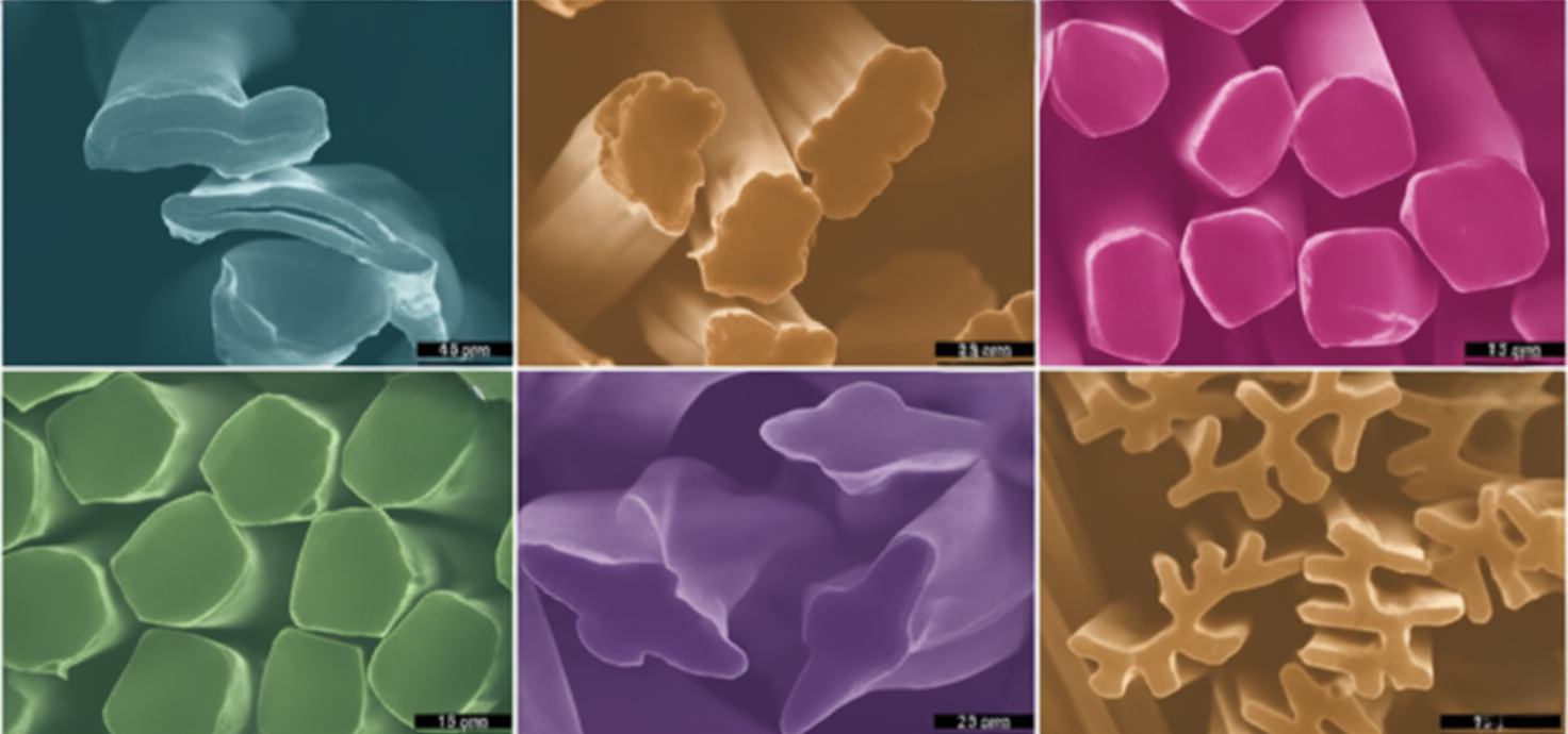 Nylon / Polyamide cross Sectional view