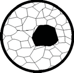 Pasted image