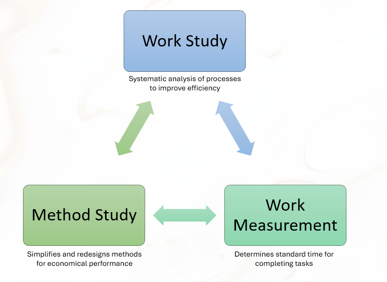 Work Study
