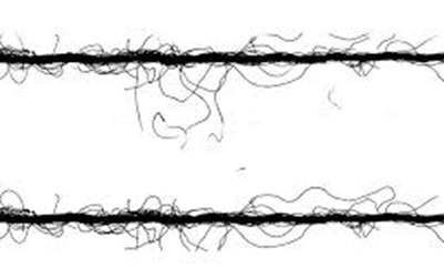 Yarn Hairiness