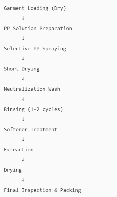 PP Spray Process Flow