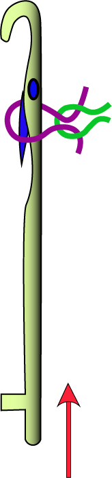 &nbsp;Clearing (Raising the Needle)