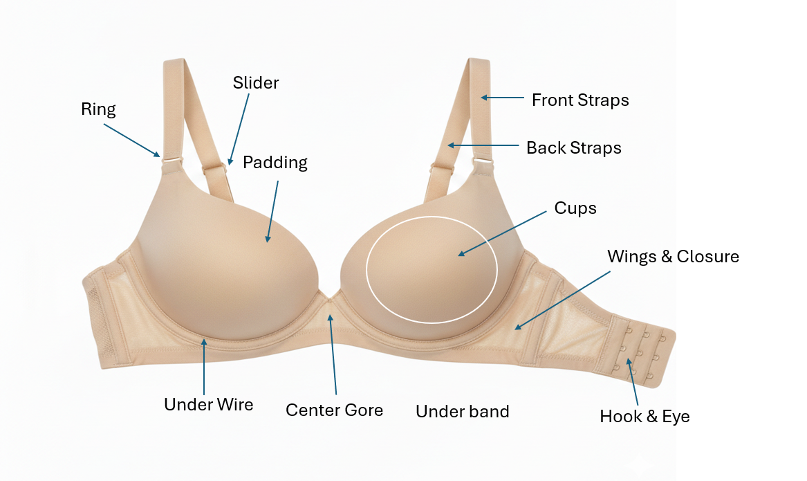 Components of a Bra